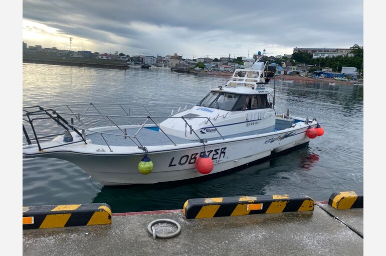 NGFF2750[1]